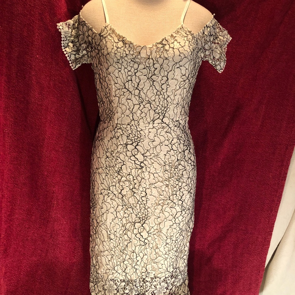 Lacey cream and black lined midi dress.